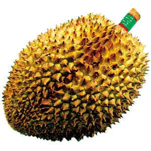 榴蓮