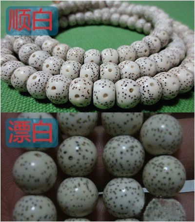 星月菩提的順白與漂白的顏色
