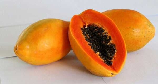 紅心木瓜