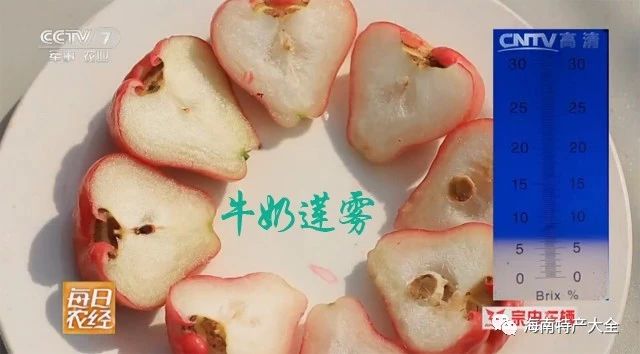 牛奶蓮霧含糖量